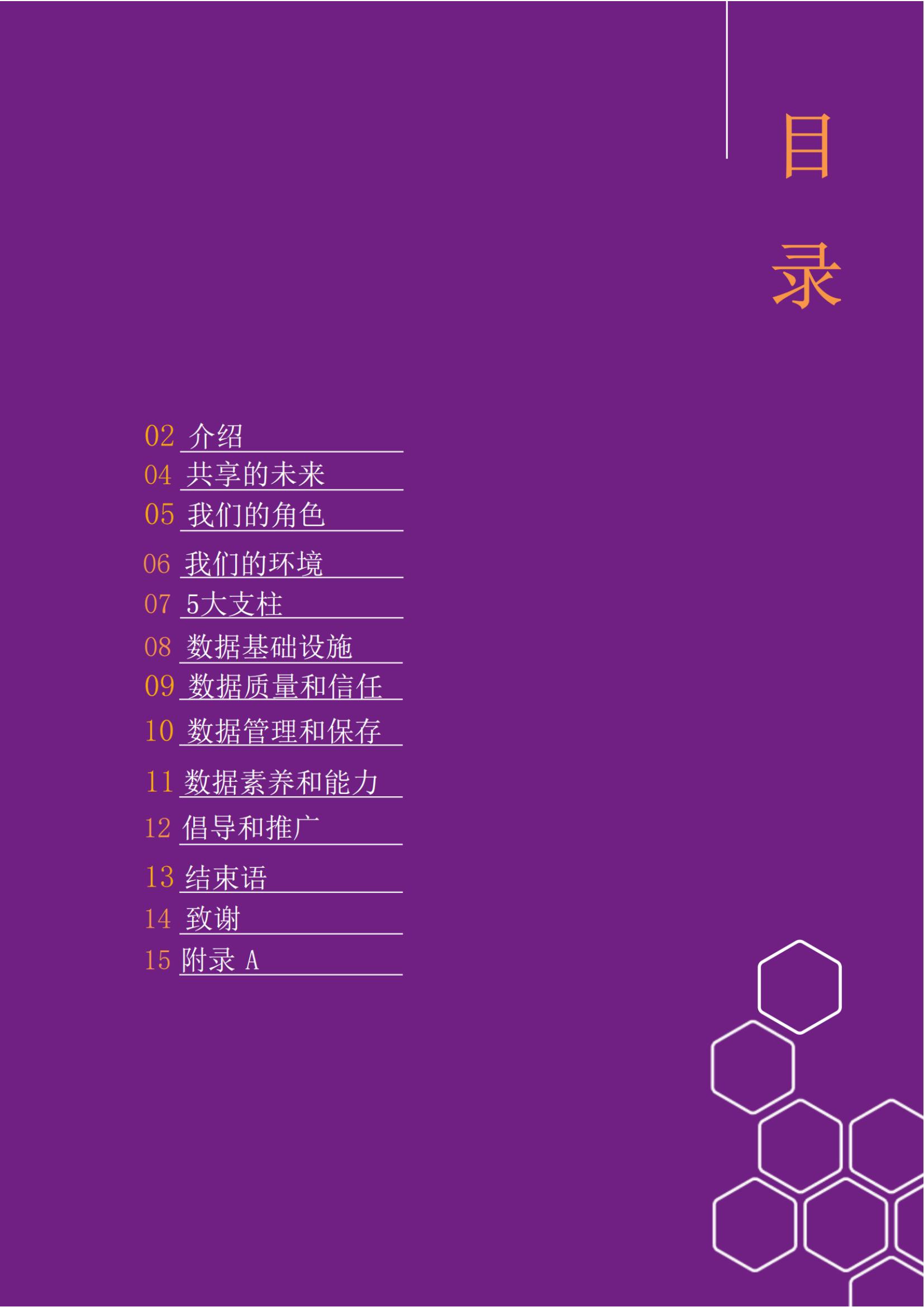 5.汉ukdataservicestrategy202430_1_16_translate_20240603140431_图pdf_01.jpg